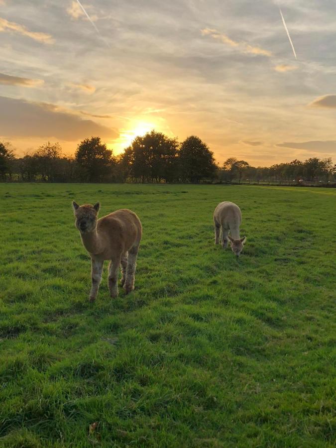 Bed and Breakfast Grutsk Op 12 Drachten Esterno foto